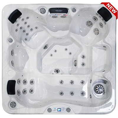 Costa EC-749L hot tubs for sale in Gary