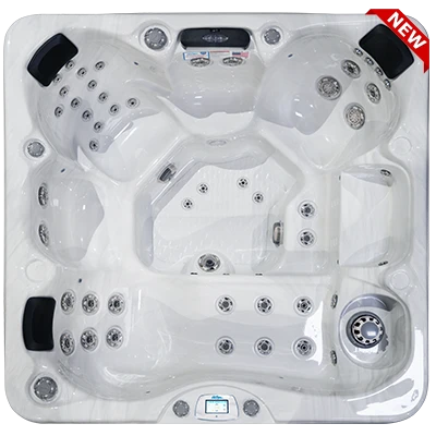 Avalon-X EC-849LX hot tubs for sale in Gary