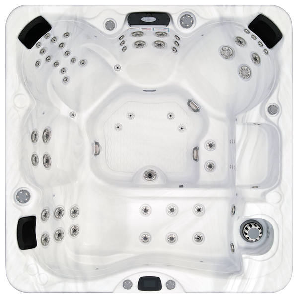 Avalon-X EC-867LX hot tubs for sale in Gary