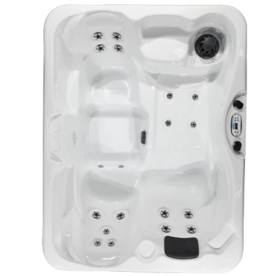 Kona PZ-519L hot tubs for sale in Gary